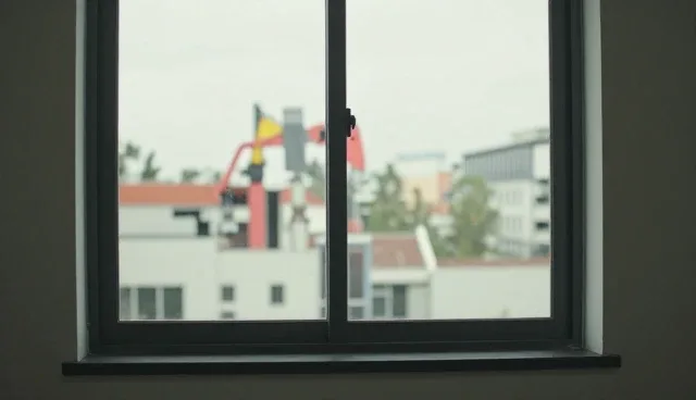 宠物健康咨询在家庭护理中的应用与选择要点